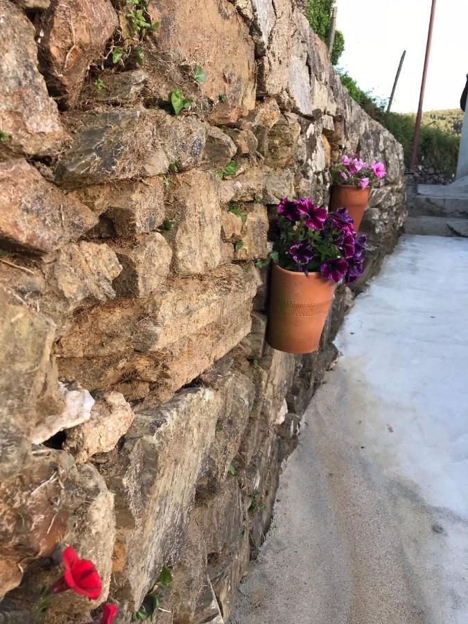 Casa Da Clarinha Villa Castelo de Paiva Eksteriør bilde
